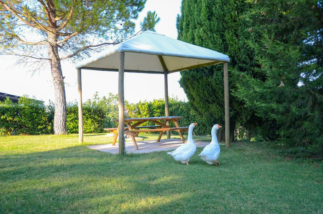 Agriturismo Galanti Cossignano Luaran gambar